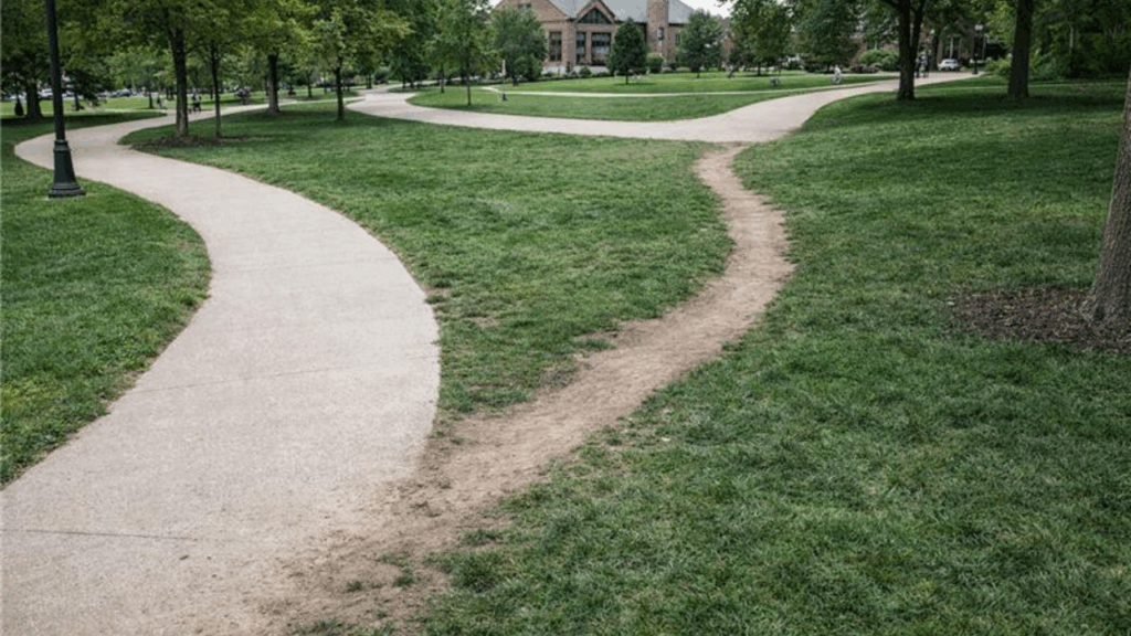 Desire Paths
